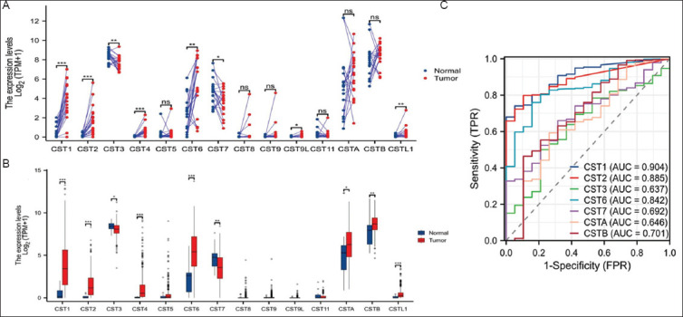 Expression profiles and clinical significance of cystatin family genes in transitional cell carcinoma of the urinary bladder.