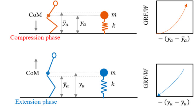 Timing of human rhythmic jumping with vertical floor vibrations tends towards mechanically efficient solutions.