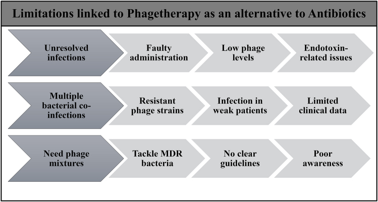 Phagetherapy updates: New frontiers against antibiotic resistance.