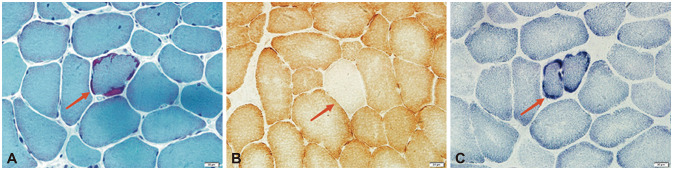 Abstract Image