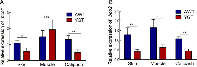 Disentangling the molecular mechanisms underlying yellow body coloration in a soft-shelled turtle.