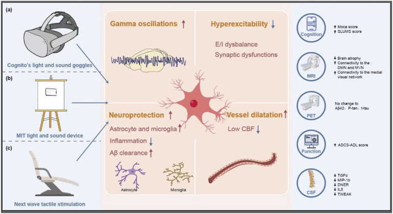 Unleashing the potential: 40 Hz multisensory stimulation therapy for cognitive impairment.