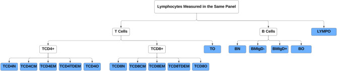 Compositional analysis of lymphocytes and their relationship with health outcomes: findings from the health and retirement study.