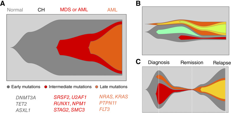 The Crossroads of Clonal Evolution, Differentiation Hierarchy, and Ontogeny in Leukemia Development.