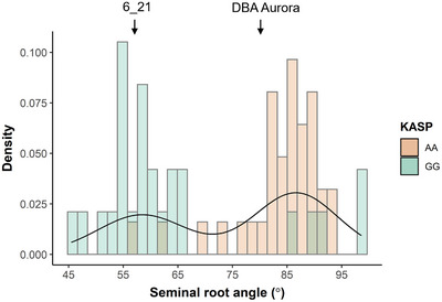 Mapping quantitative trait loci for seminal root angle in a selected durum wheat population.