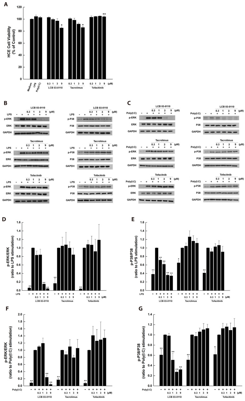 Anti-inflammatory effects of LCB 03-0110 on human corneal epithelial and murine T helper 17 cells.