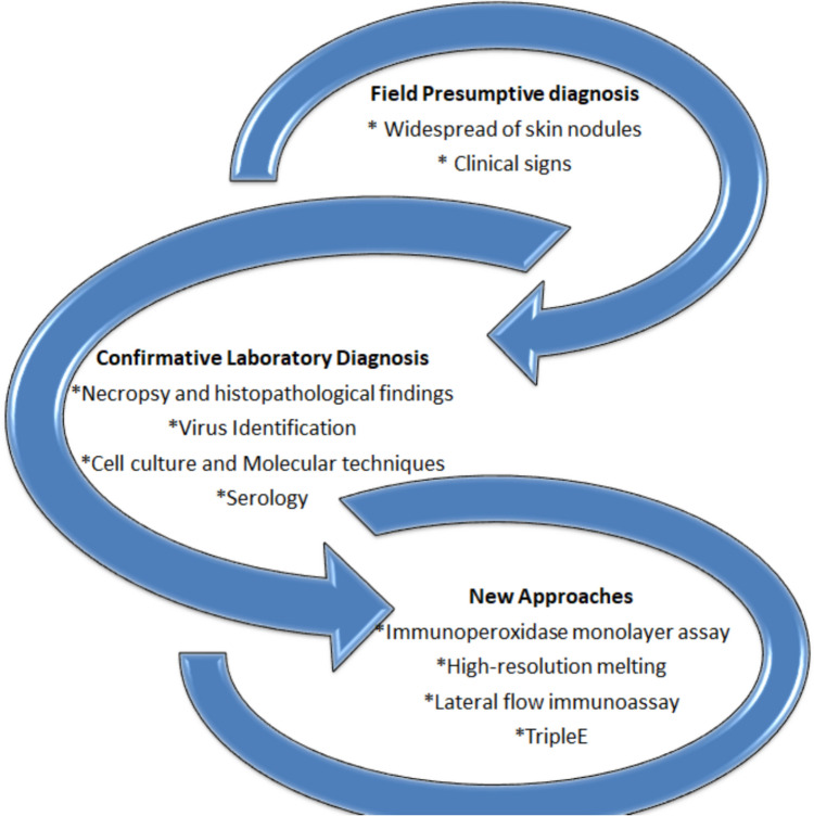 Progress in diagnostic methods and vaccines for lumpy skin disease virus: a path towards understanding the disease.