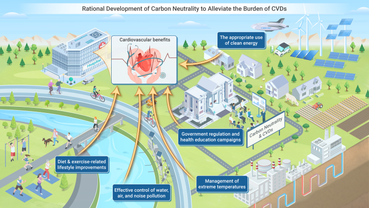 Trends and strategies of global cardiovascular diseases during the process of carbon neutrality.