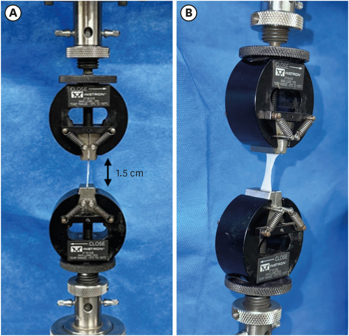 Comparison of five preservation methods for fascia allograft.