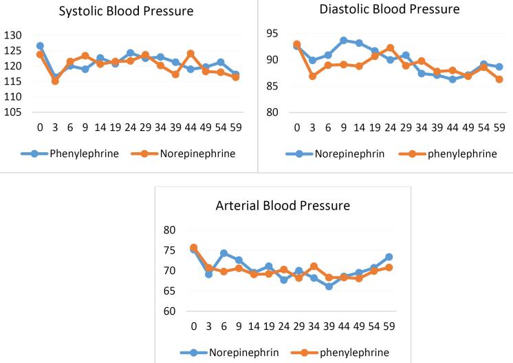 Comparison of the Effects of Norepinephrine and Phenylephrine Infusion in Preventing Hypotension during Spinal Anesthesia for Cesarean Delivery: A Randomized, Double-Blind Clinical Trial.