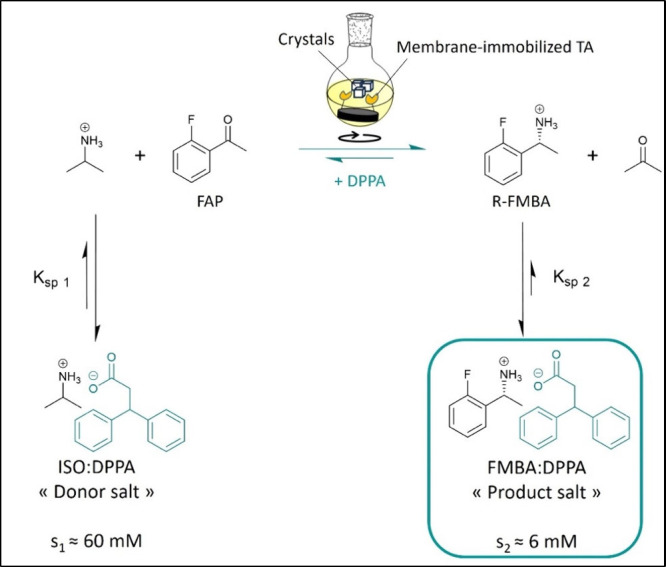 Crystallization-Assisted Asymmetric Synthesis of Enantiopure Amines Using Membrane-Immobilized Transaminase.