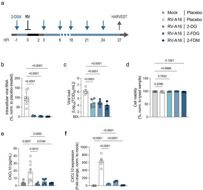 Nebulized 2-deoxylated glucose analogues inhibit respiratory viral infection in advanced in vitro airway models.