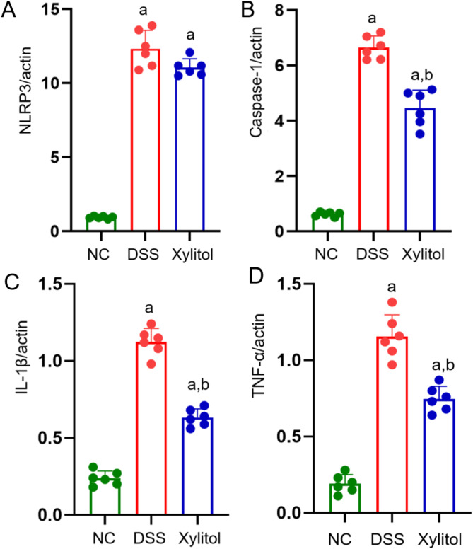 Using gut microbiota and non-targeted metabolomics techniques to study the effect of xylitol on alleviating DSS-induced inflammatory bowel disease in mice.