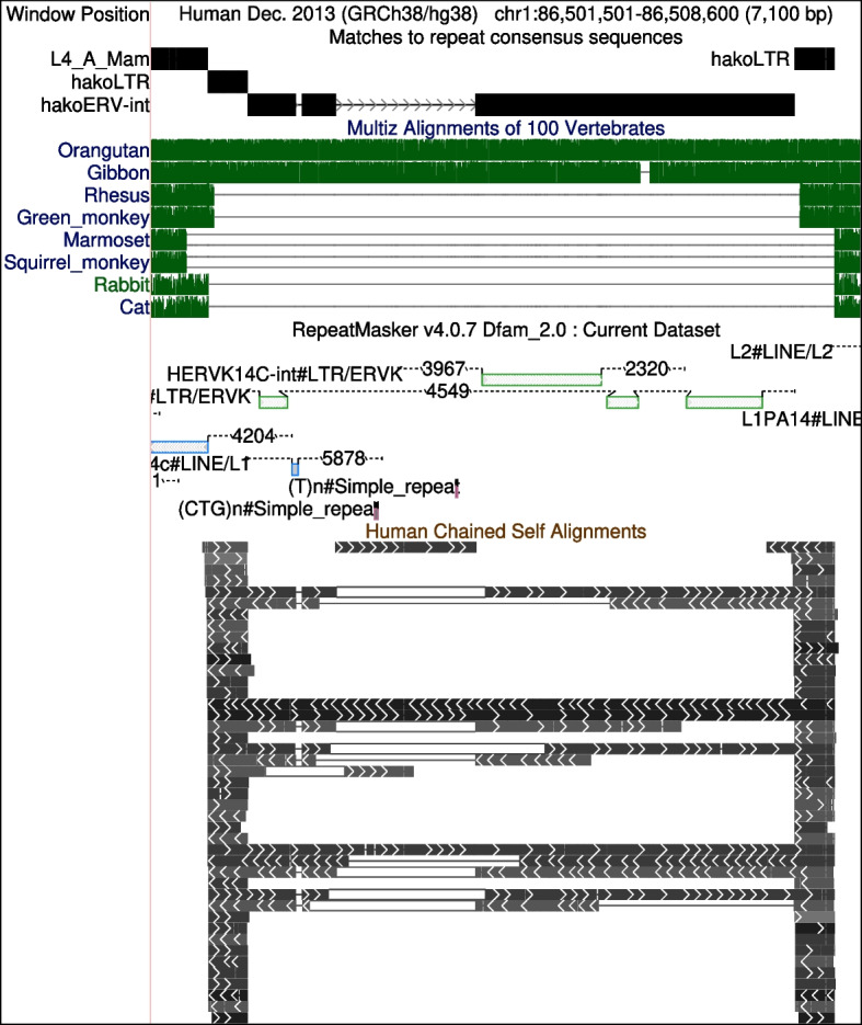 Further varieties of ancient endogenous retrovirus in human DNA.