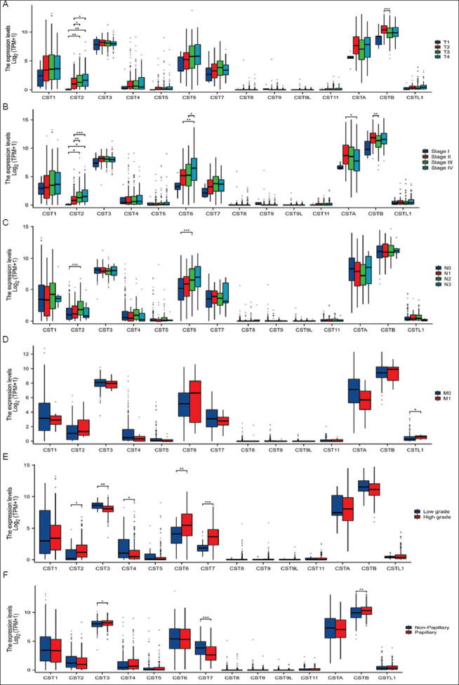 Expression profiles and clinical significance of cystatin family genes in transitional cell carcinoma of the urinary bladder.