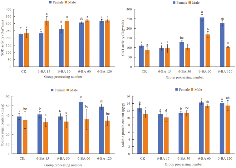 Multi-omics integrated analysis reveals the impact of cytokinin on sex differentiation in industrial hemp.