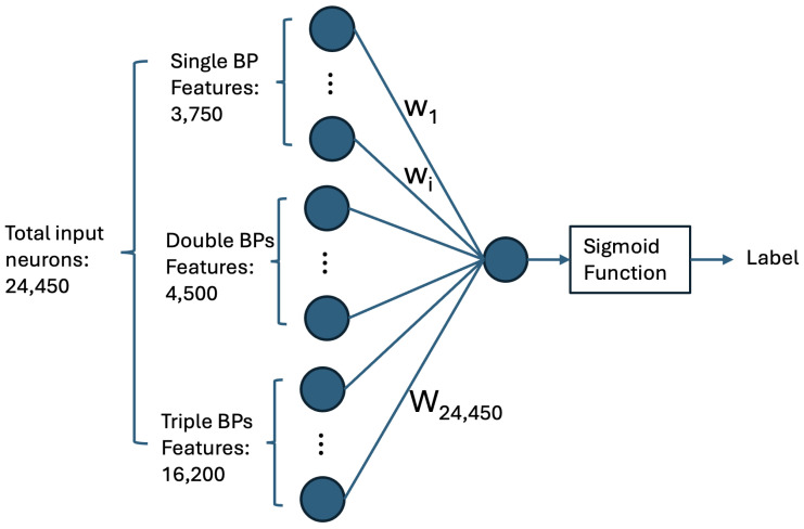 A Multi-Input Neural Network Model for Accurate MicroRNA Target Site Detection.