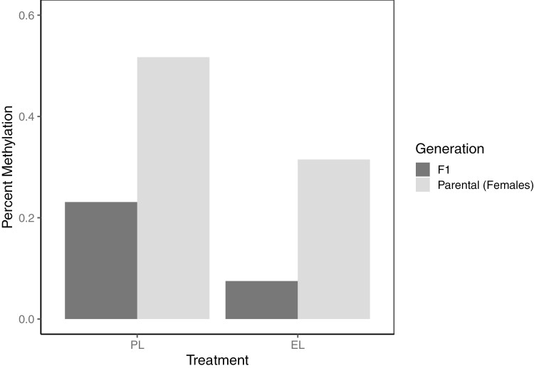 Microplastic exposure is associated with epigenomic effects in the model organism Pimephales promelas (fathead minnow).