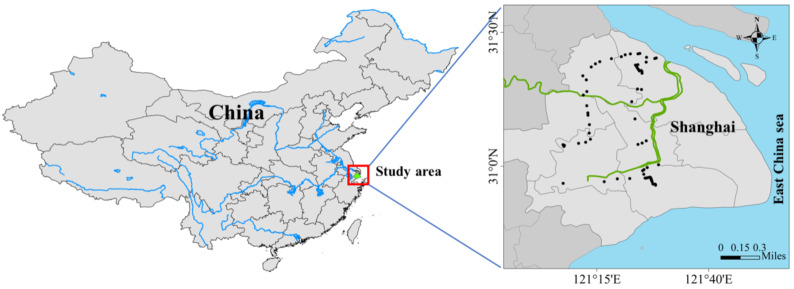 Vehicular mediated emissions of polycyclic aromatic hydrocarbons in roadside soils of Shanghai.