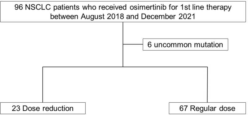 Clinical Impact of Osimertinib Dose Reduction in the First-Line Setting on EGFR Mutation-Positive Non-Small Cell Lung Cancer: A Retrospective Monocentric Study.