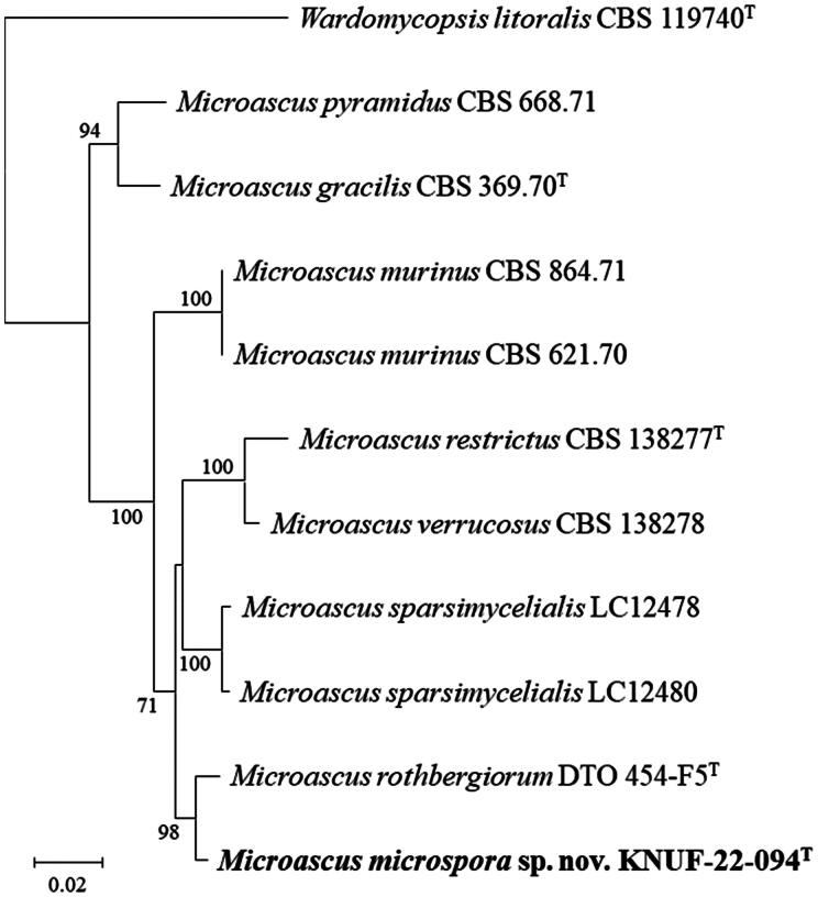 <i>Microascus microspora</i> sp. nov. and <i>Tolypocladium terrae</i> sp. nov.; Two Novel Fungal Species Isolated from Soil in Korea.
