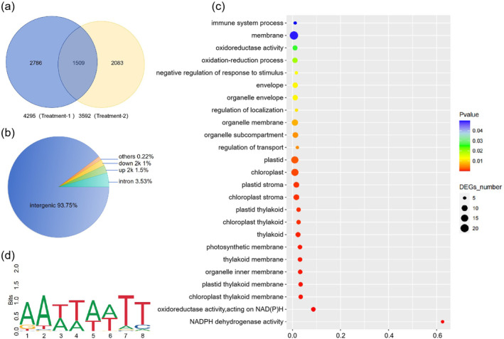 gma-miR828a Negatively Regulates Resistance to Tea Leaf Spot Caused by Lasiodiplodia theobromae Through Targeting the CsMYB28-CsRPP13 Module.
