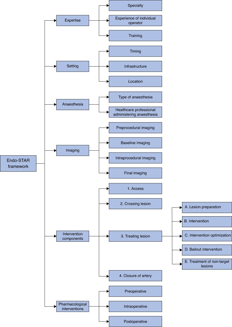 Endovascular treatment of peripheral arterial disease: Endo-STAR framework for the design, conduct, and reporting of trials.