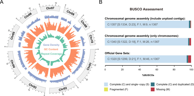 Chromosome-level genome assembly of an endoparasitoid Cotesia ruficrus.