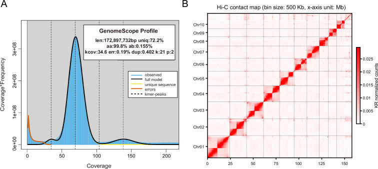 Chromosome-level genome assembly of an endoparasitoid Cotesia ruficrus.