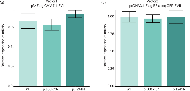 Compound heterozygous mutations (p.L68R∗37 and p.T241N) lead to abnormal protein levels and structures in hereditary FVII deficiency.