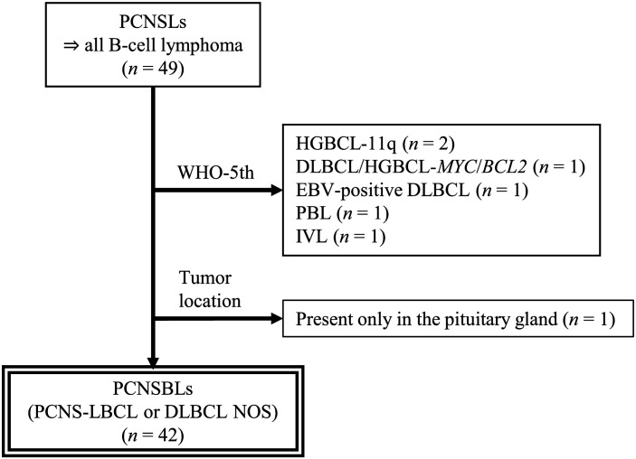 Hans's algorithm and MYD88<sup>L265P</sup> mutation may affect prognosis of primary central nervous system B-cell lymphoma.