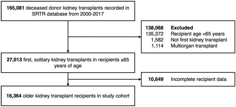 Using Unsupervised Clustering to Characterize Phenotypes Among Older Kidney Transplant Recipients: A Cohort Study.