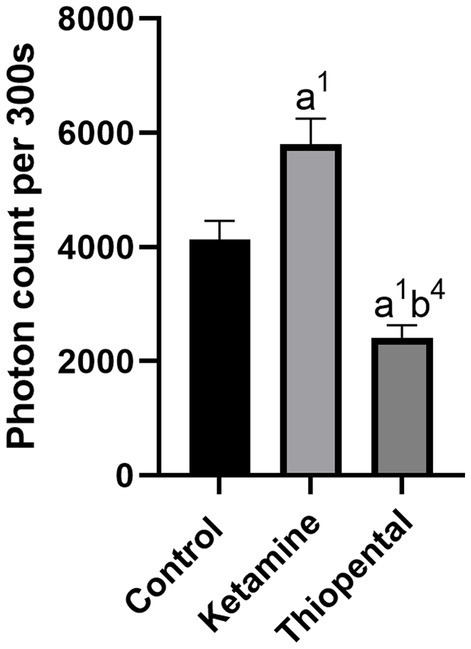 The impact of ketamine and thiopental anesthesia on ultraweak photon emission and oxidative-nitrosative stress in rat brains.