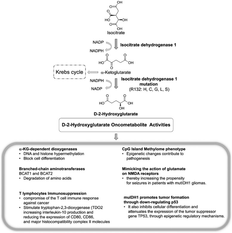 Isocitrate dehydrogenase 1 gene mutations: a case review unveiling its biological impact on disease progression, prognosis and treatment in Chilean patients.
