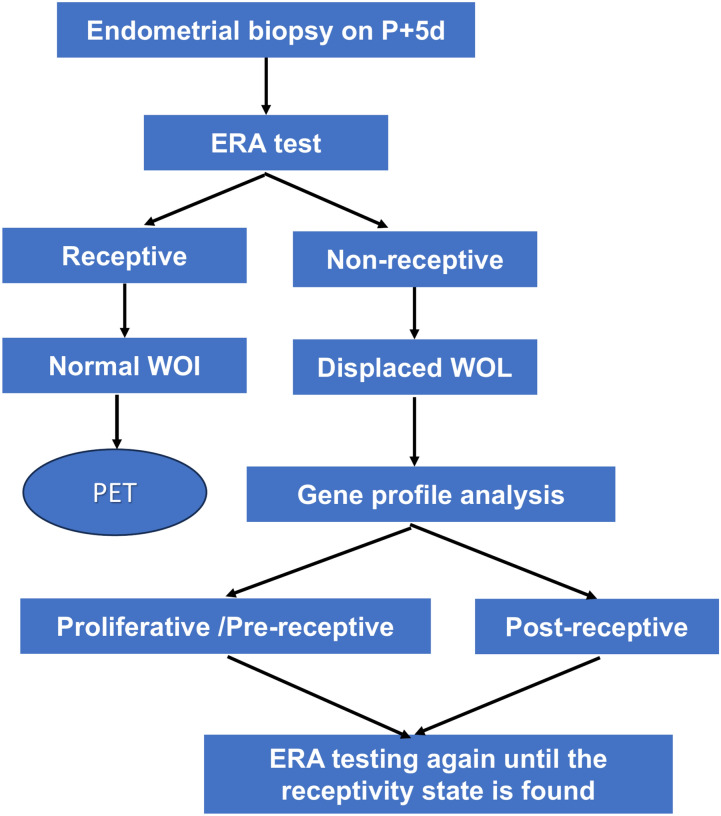 The study on the clinical efficacy of endometrial receptivity analysis and influence factors of displaced window of implantation.