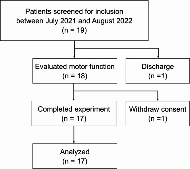 Effects of visual terminal feedback on hand dexterity in relation to visuospatial ability in subacute stroke: a preliminary study.