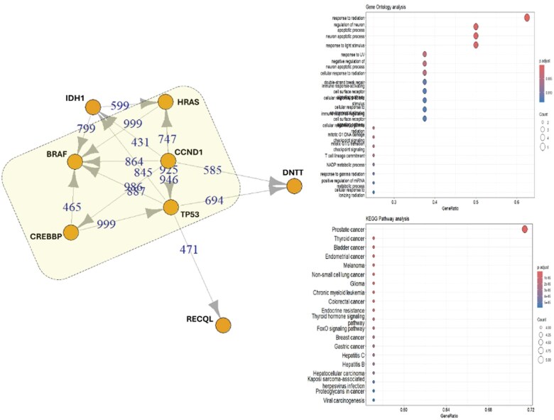 Isocitrate dehydrogenase 1 gene mutations: a case review unveiling its biological impact on disease progression, prognosis and treatment in Chilean patients.