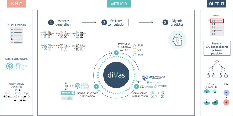 Digenic variant interpretation with hypothesis-driven explainable AI.