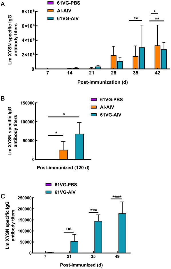 The inactivated and ISA 61 VG adjuvanted vaccine enhances protection against cross-serotype Listeria monocytogenes.