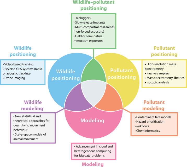 Advancing the Spatiotemporal Dimension of Wildlife-Pollution Interactions.