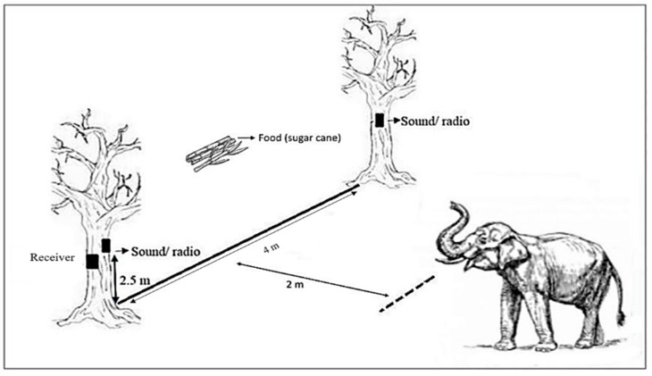 Threatening Sounds as an Alternative Mitigation Method to Deter Elephant: A Study in Elephant Conservation Centre, Kuala Gandah, Pahang, Malaysia.