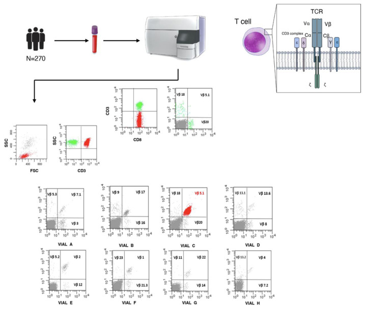 T-cell Receptor (TCR)-Vβ Repertoire Flow Cytometry for T-cell Lymphoproliferative Disorder: a Retrospective Analysis of a Single-Center Real-Life Laboratory Experience.