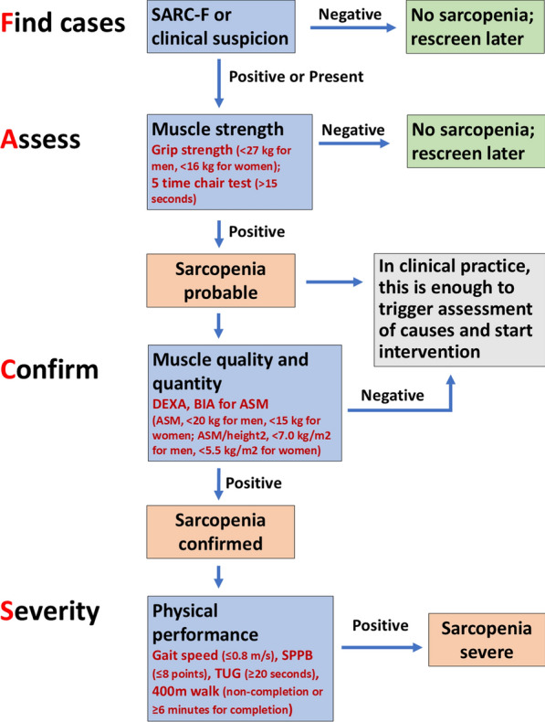 Sarcopenia: how to determine and manage.