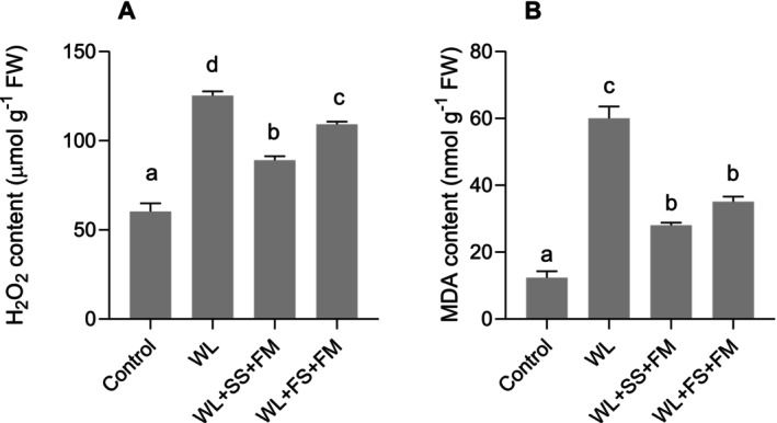 Combined Effect of Melatonin and Sulfur on Alleviating Waterlogging Stress in Rapeseed.
