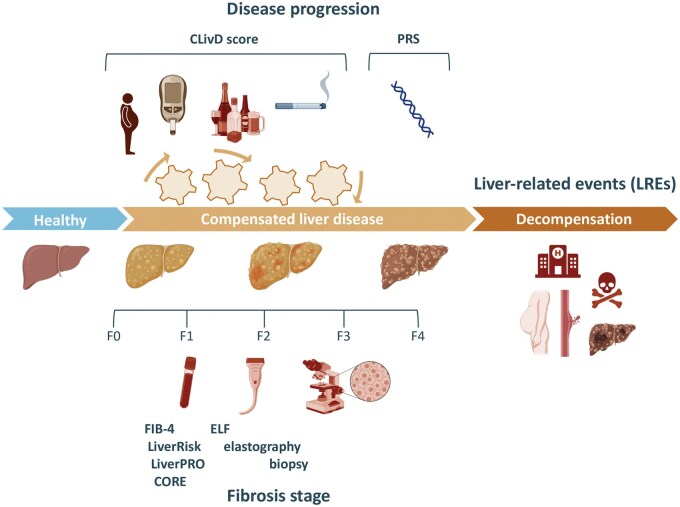 Prediction of major liver-related events in the population using prognostic models.