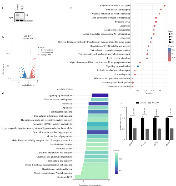 [Integrative transcriptomics-metabolomics approach to identify metabolic pathways regulated by glutamine synthetase activity].