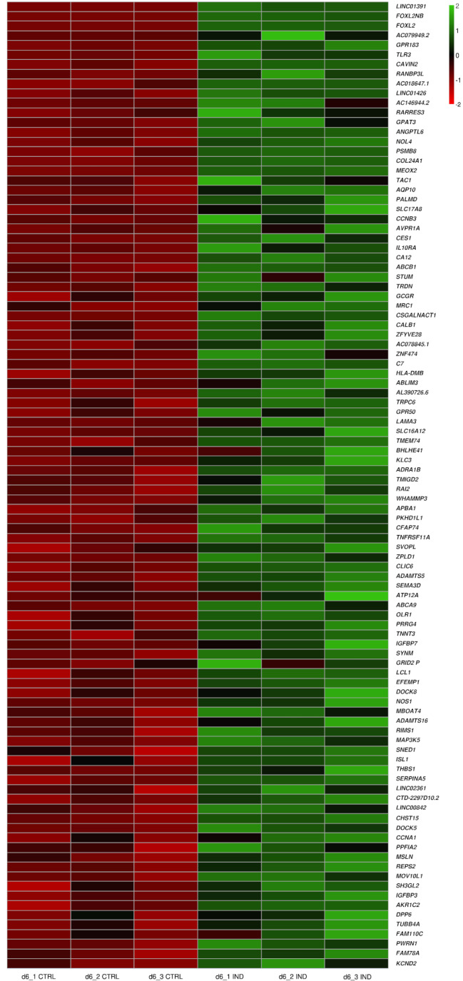 FOXL2 drives the differentiation of supporting gonadal cells in early ovarian development.