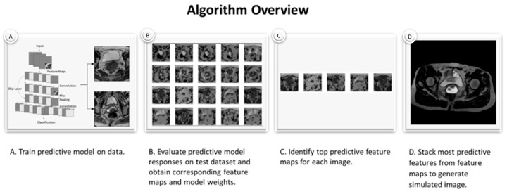 Discussion of a Simple Method to Generate Descriptive Images Using Predictive ResNet Model Weights and Feature Maps for Recurrent Cervix Cancer.