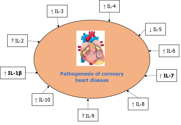 Role of interleukins in the pathogenesis of coronary heart disease: A literature review.