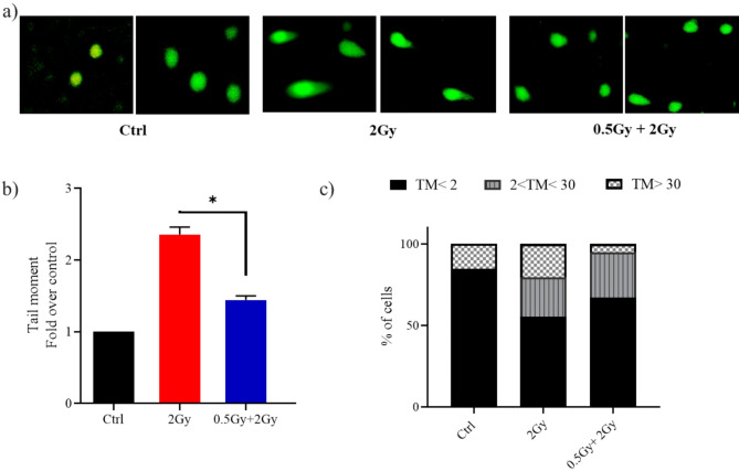 0.5 Gy confers resistance to a subsequent high dose of γ-rays by modulating HO-1/Nrf2 and apoptosis pathways.